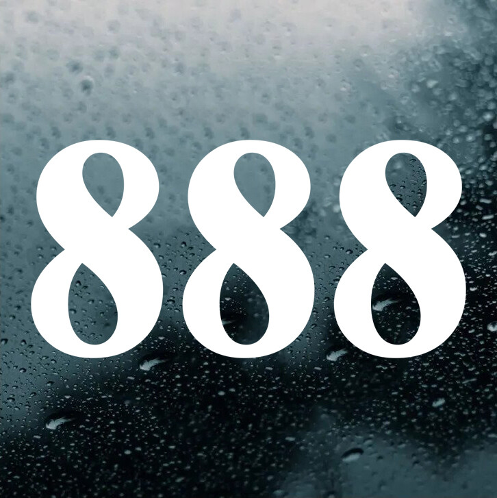 888COIN showcase image 7